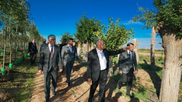 BÜYÜKŞEHİR’DEN YILLIK 20 BİN FİDAN, 50 BİN METREKARE RULO ÇİM ÜRETİMİ